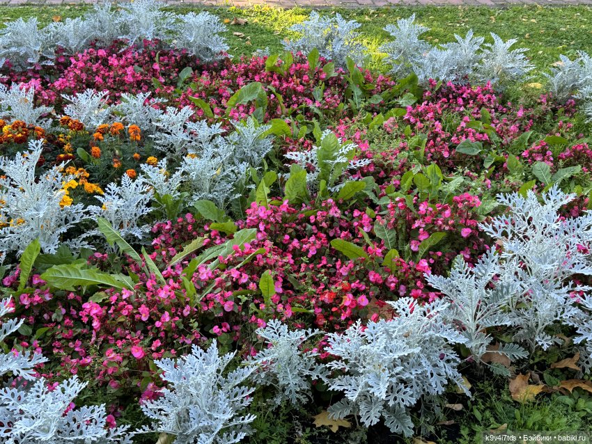 Тверская осень и "Крылья Удачи", продолжение