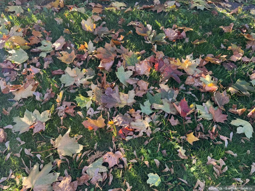 Тверская осень и "Крылья Удачи", продолжение