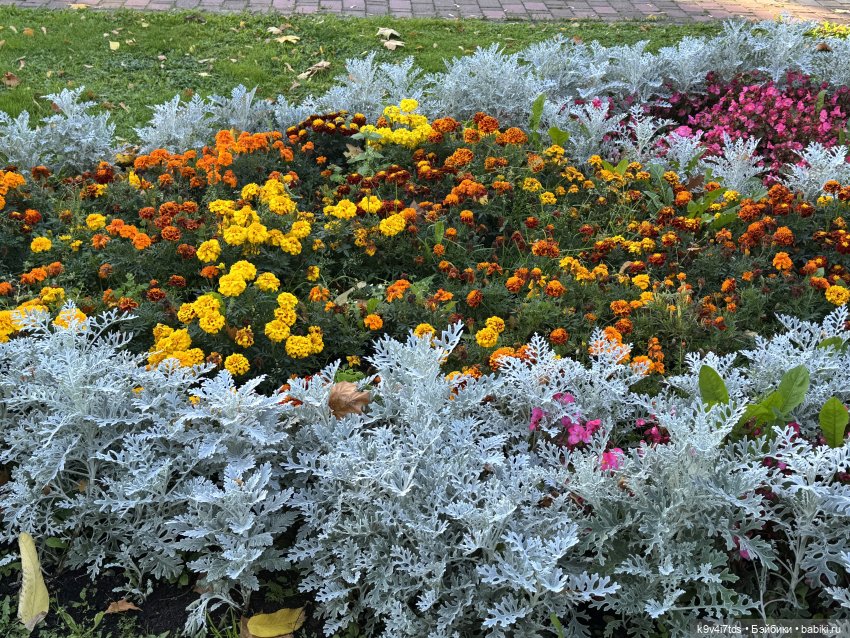 Тверская осень и "Крылья Удачи", продолжение