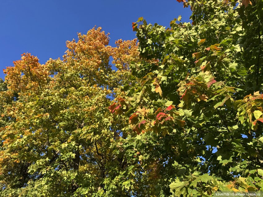 Тверская осень и "Крылья Удачи", продолжение