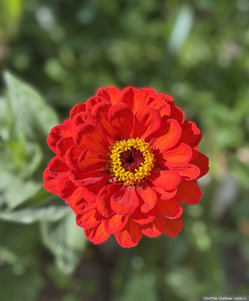 Тверская осень и "Крылья Удачи", заключительная часть