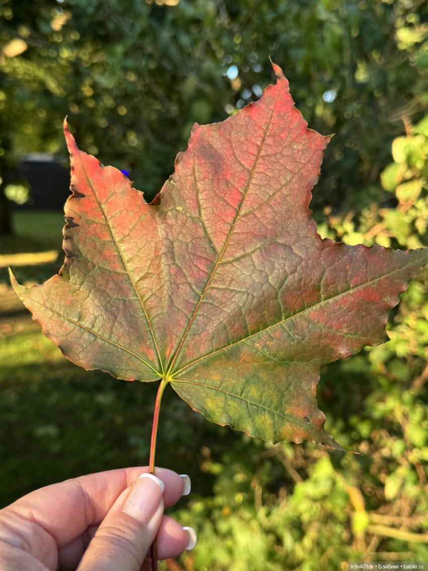 Тверская осень и "Крылья Удачи", заключительная часть