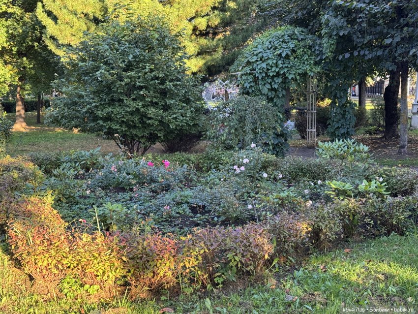 Тверская осень и "Крылья Удачи", заключительная часть