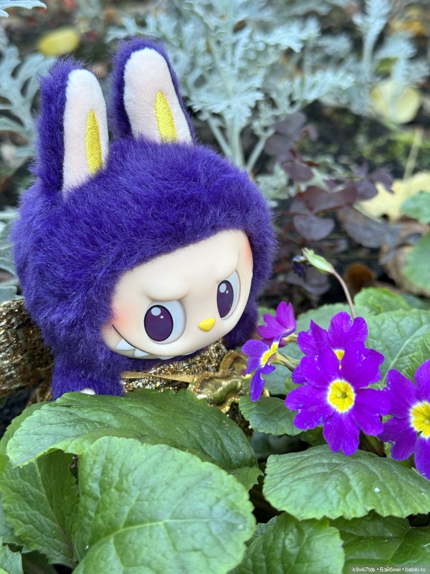 Тверская осень и "Крылья Удачи", заключительная часть (фото 9)