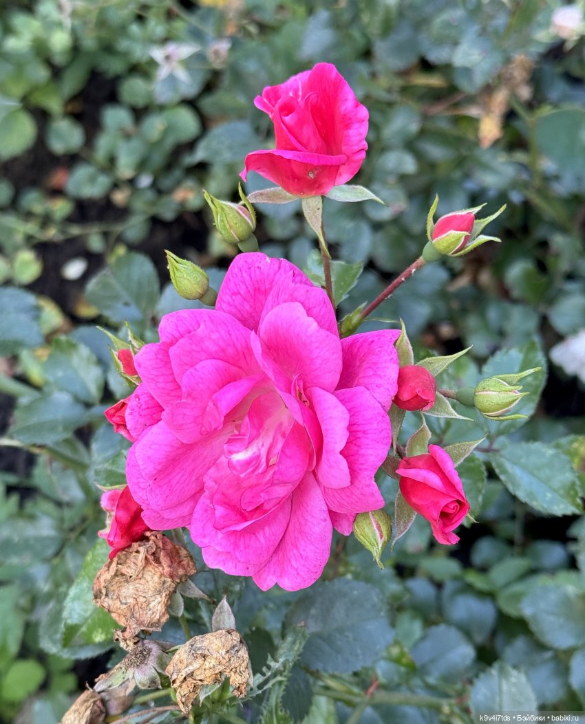 Тверская осень и "Крылья Удачи", заключительная часть (фото 4)