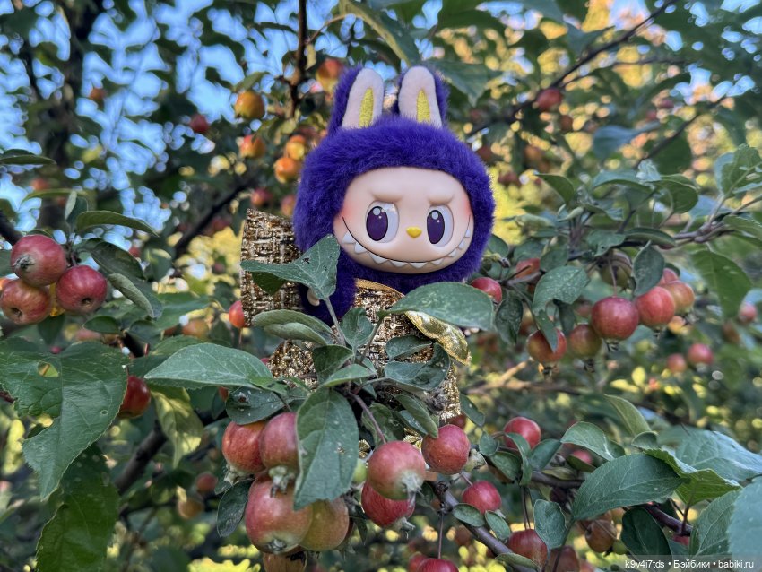 Тверская осень и "Крылья Удачи", заключительная часть (фото 3)