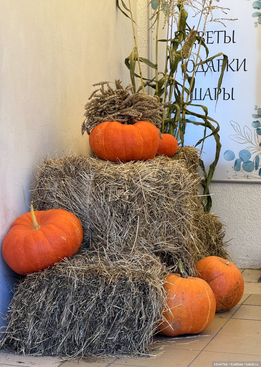 Тверская осень и "Крылья Удачи", заключительная часть