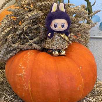 Тверская осень и "Крылья Удачи", заключительная часть