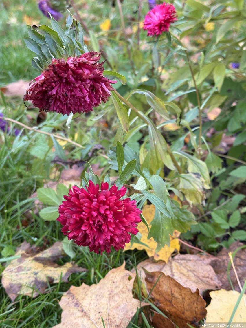 А мы идём гулять | Бэйбики А мы идём гулять — Винтажные куклы ГДР (Немки): Бигги