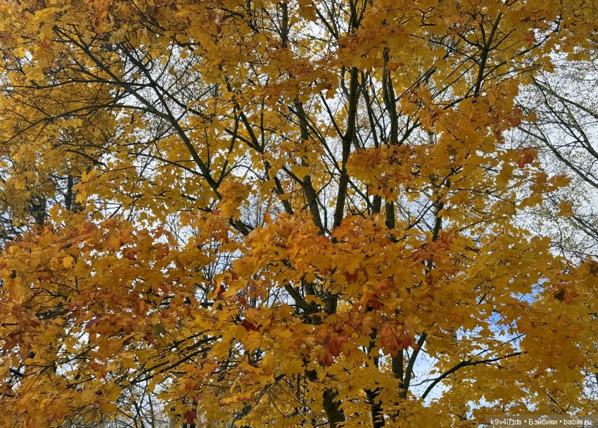 А мы идём гулять | Бэйбики А мы идём гулять — Винтажные куклы ГДР (Немки): Бигги