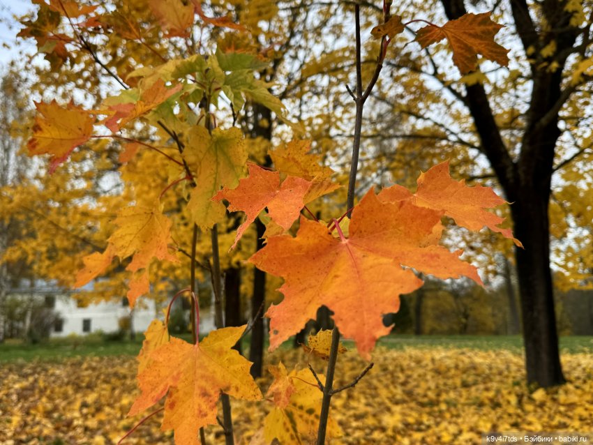 А мы идём гулять | Бэйбики А мы идём гулять — Винтажные куклы ГДР (Немки): Бигги