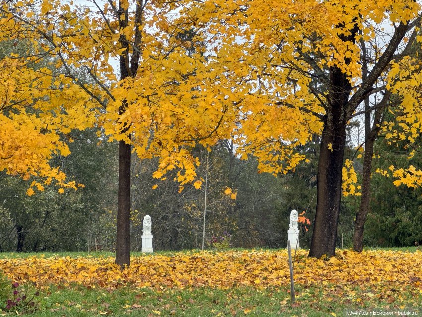 А мы идём гулять | Бэйбики А мы идём гулять — Винтажные куклы ГДР (Немки): Бигги