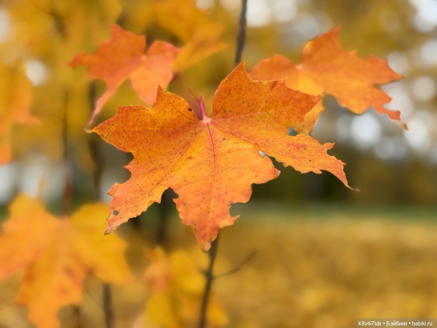А мы идём гулять | Бэйбики А мы идём гулять — Винтажные куклы ГДР (Немки): Бигги