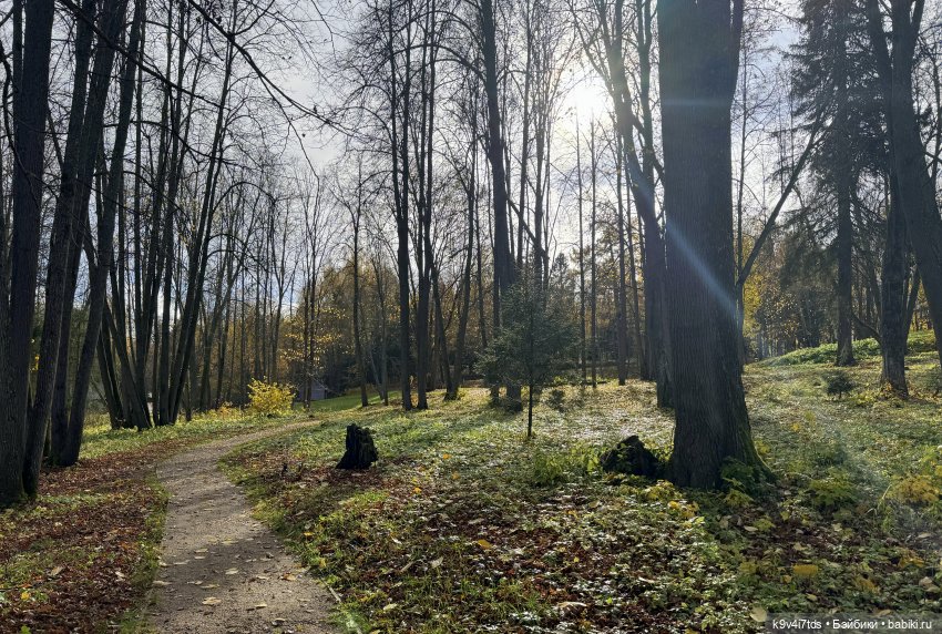 Таинственный Октябрь — Игрушки Labubu (Лабубу) и The Monsters: Pop Mart