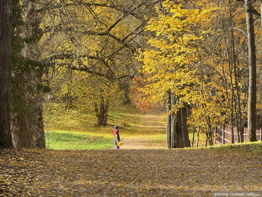 Таинственный Октябрь — Игрушки Labubu (Лабубу) и The Monsters: Pop Mart