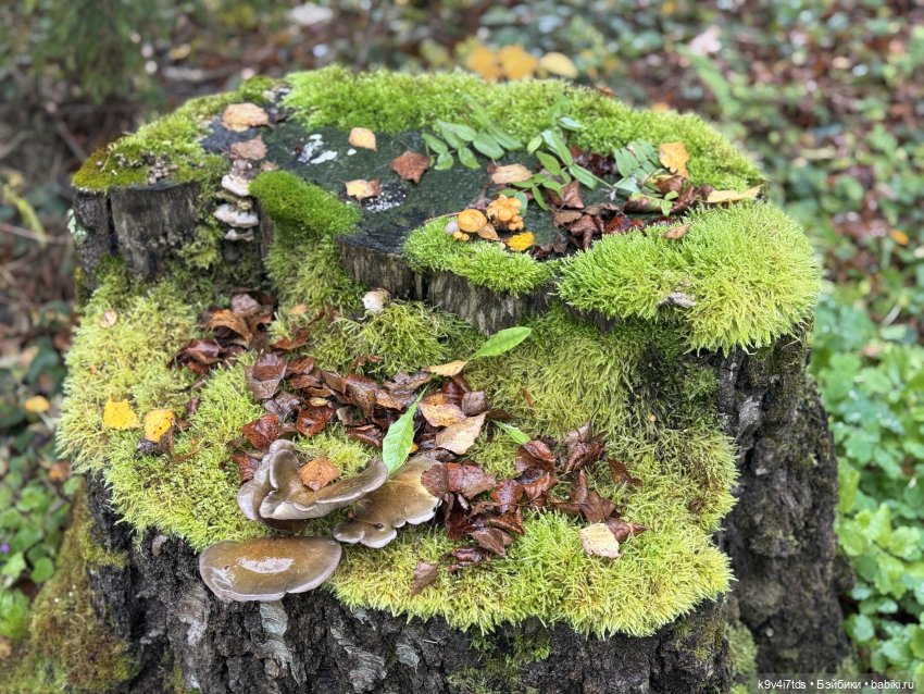 Таинственный Октябрь — Игрушки Labubu (Лабубу) и The Monsters: Pop Mart