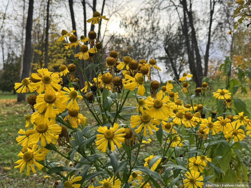 Таинственный Октябрь — Игрушки Labubu (Лабубу) и The Monsters: Pop Mart