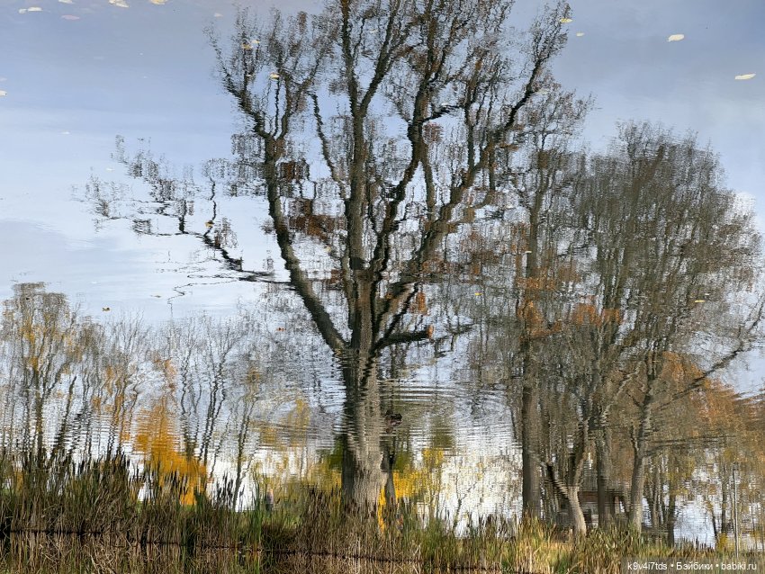 Таинственный Октябрь — Игрушки Labubu (Лабубу) и The Monsters: Pop Mart