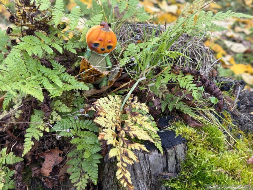 Таинственный Октябрь — Игрушки Labubu (Лабубу) и The Monsters: Pop Mart