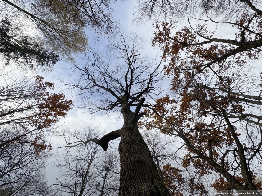 Таинственный Октябрь — Игрушки Labubu (Лабубу) и The Monsters: Pop Mart