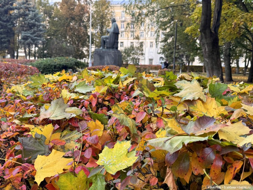 Золотая Осень с Момоко — Куклы Momoko и Ruruko (Petworks (фото 4)