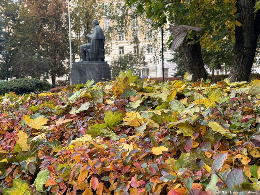 Золотая Осень с Момоко — Куклы Momoko и Ruruko (Petworks (фото 3)