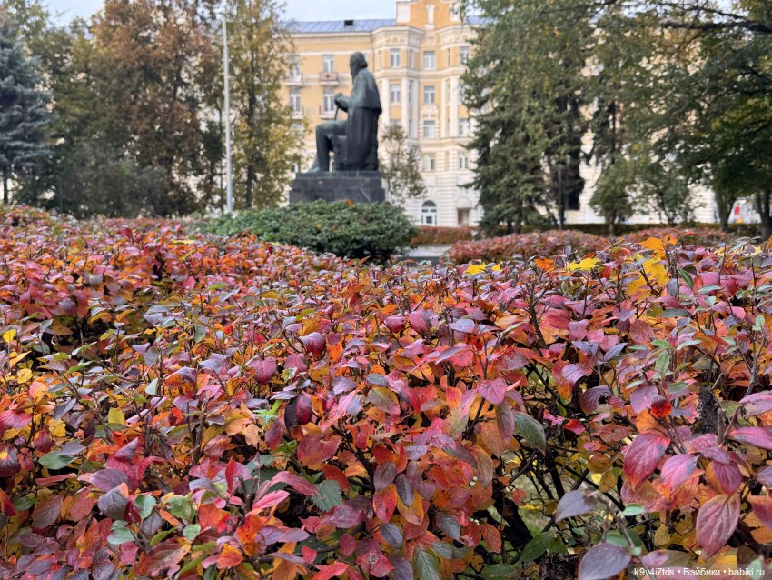 Золотая Осень с Момоко — Куклы Momoko и Ruruko (Petworks (фото 6)