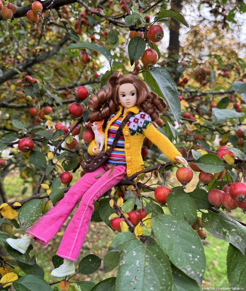 Золотая Осень с Момоко — Куклы Momoko и Ruruko (Petworks
