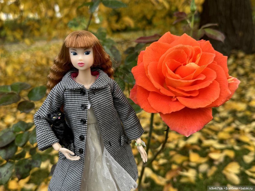 Золотая Осень с Момоко, продолжение