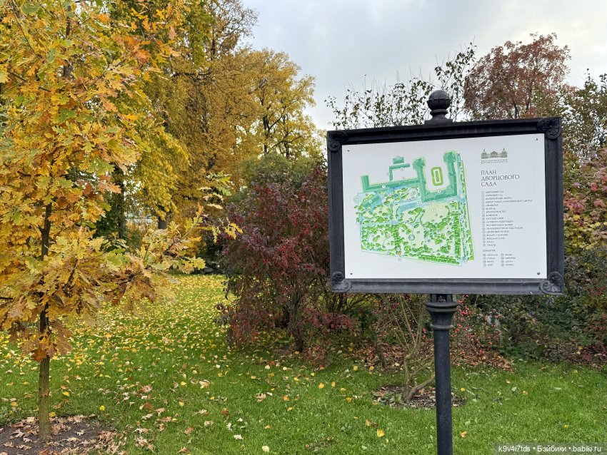 Золотая Осень с Момоко — Куклы Momoko и Ruruko (Petworks