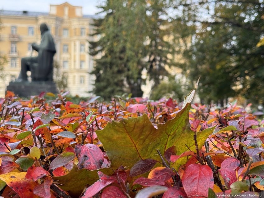 Золотая Осень с Момоко — Куклы Momoko и Ruruko (Petworks (фото 8)