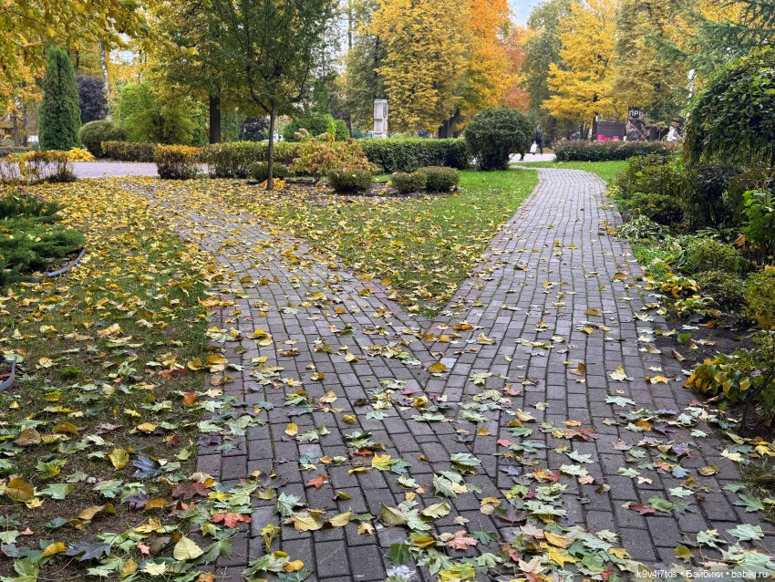 Золотая Осень с Момоко — Куклы Momoko и Ruruko (Petworks