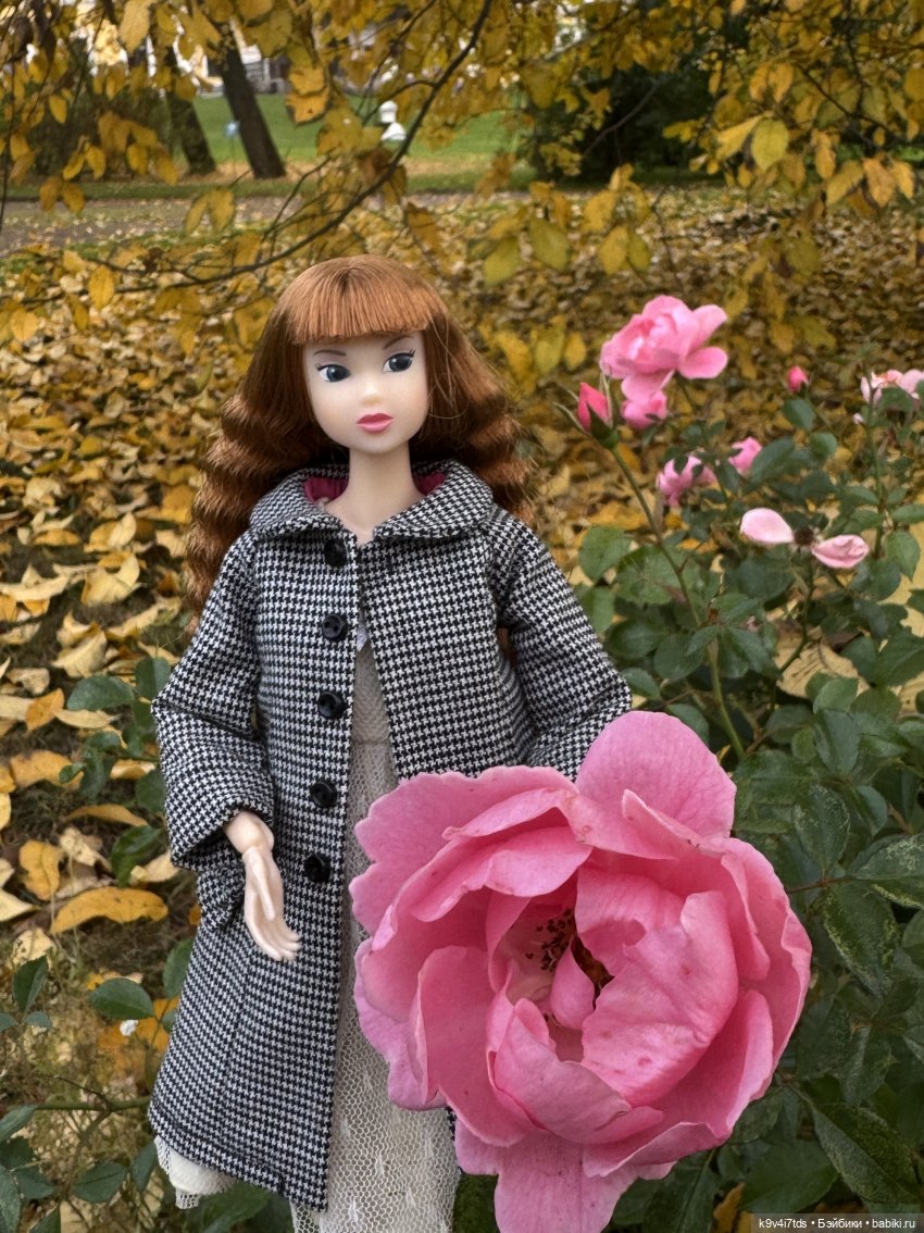 Золотая Осень с Момоко, продолжение