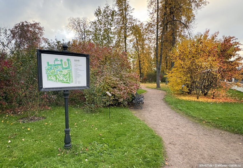 Золотая Осень с Момоко — Куклы Momoko и Ruruko (Petworks