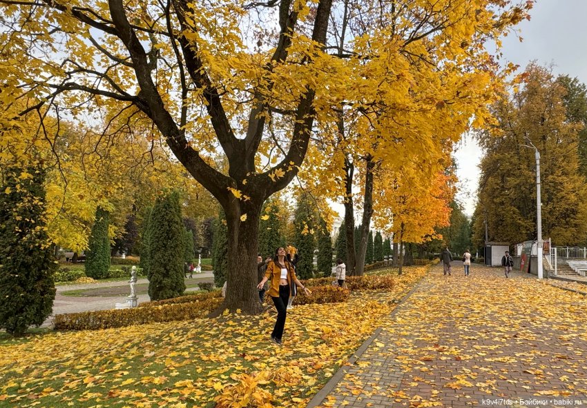 Золотая Осень с Момоко — Куклы Momoko и Ruruko (Petworks