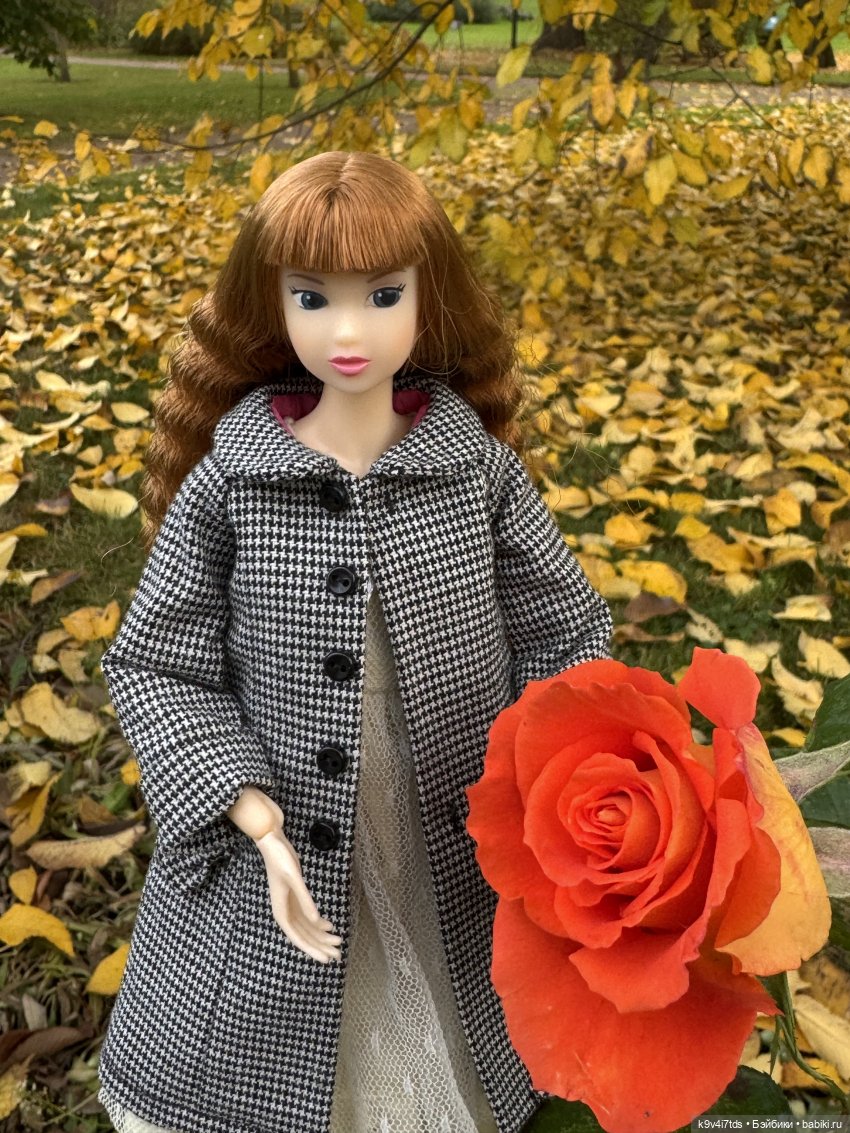 Золотая Осень с Момоко, продолжение