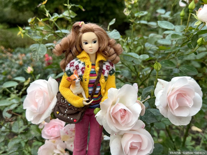 Золотая Осень с Момоко — Куклы Momoko и Ruruko (Petworks