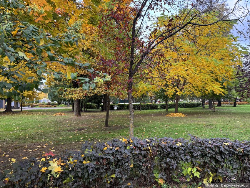 Золотая Осень с Момоко — Куклы Momoko и Ruruko (Petworks