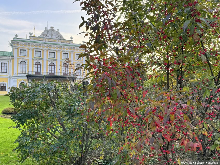 Золотая Осень с Момоко, продолжение