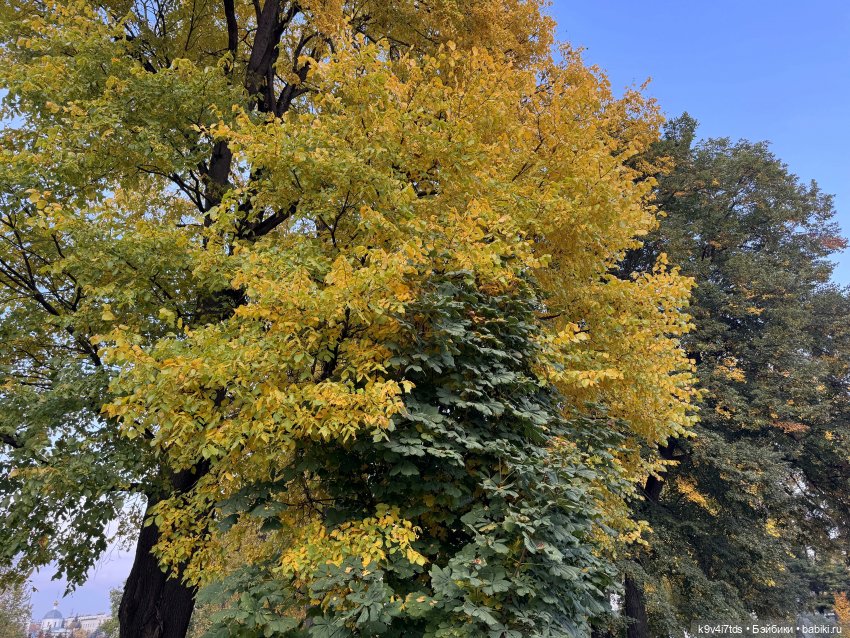 Золотая Осень с Момоко, продолжение