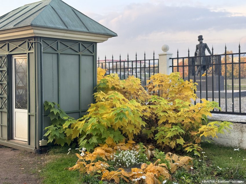 Золотая Осень с Момоко, продолжение