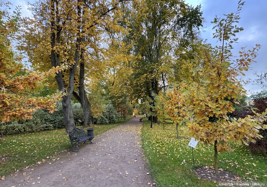 Золотая Осень с Момоко — Куклы Momoko и Ruruko (Petworks