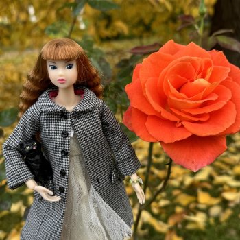 Золотая Осень с Момоко, продолжение