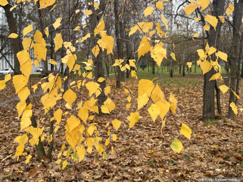 "Инопланетный" ноябрь, прогулка Фрейи в Москве