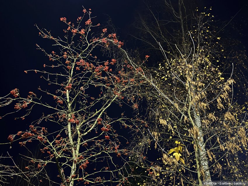 "Инопланетный" ноябрь, прогулка Фрейи в Москве