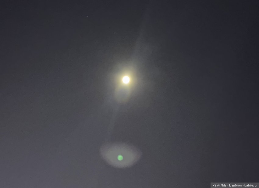 "Инопланетный" ноябрь, прогулка Фрейи в Москве