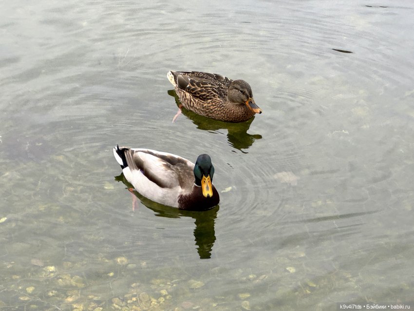 "Инопланетный" ноябрь, прогулка Фрейи в Москве