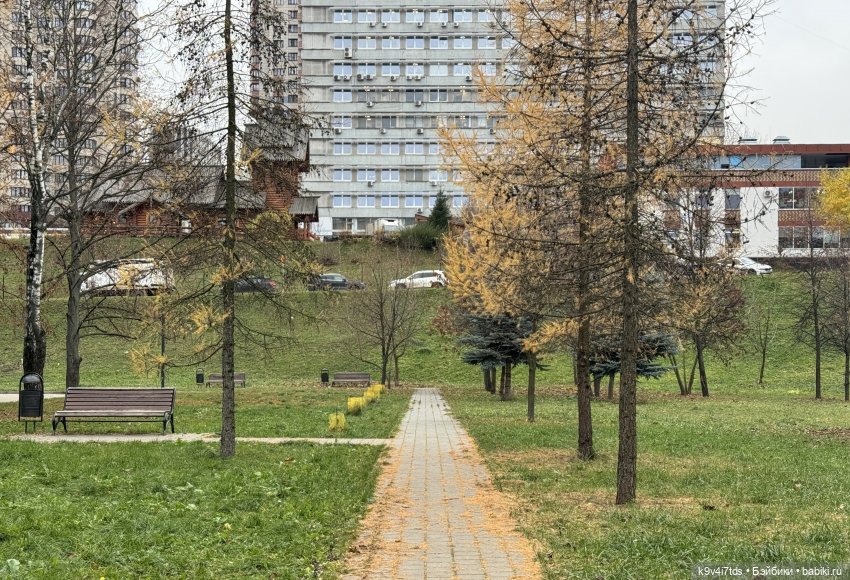 "Инопланетный" ноябрь, прогулка Фрейи в Москве (фото 8)