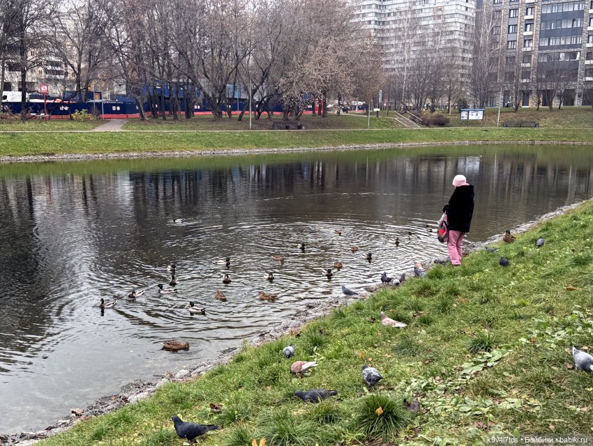 "Инопланетный" ноябрь, прогулка Фрейи в Москве