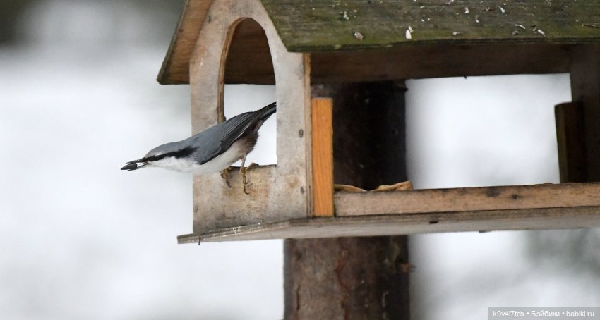 В последний день осени 2025 года (фото 4)